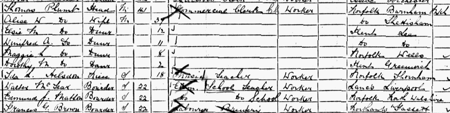 alice 1901 census